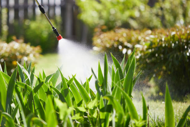 Tamper-Resistant Bait Stations for Rodents in Geneva
