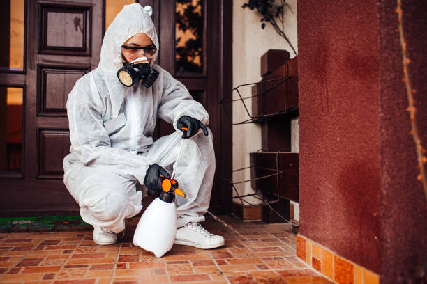 Attic and Crawl Space Rodent Treatment in Geneva