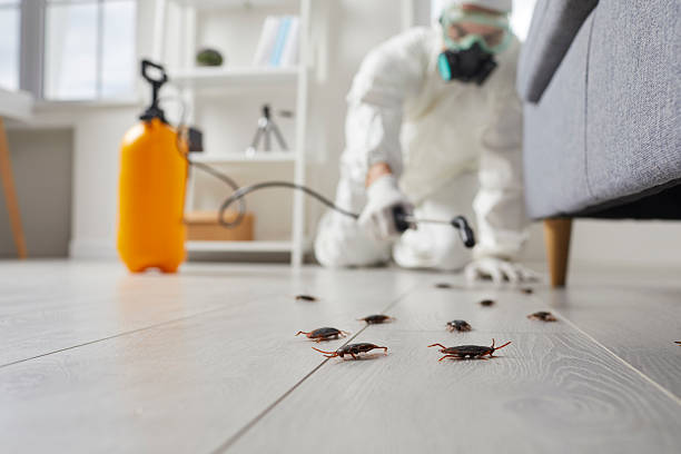 Commercial Rodent Management in Geneva